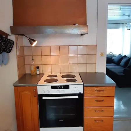 Vanhapaikka Villa Soini